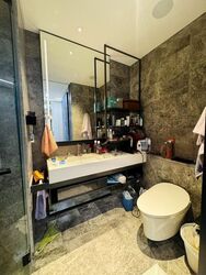 Cuscaden Reserve (D10), Condominium #483983661